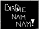 Birdie Nam Nam