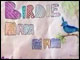 Birdie Nam Nam