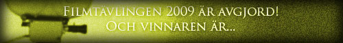 riskInv2009